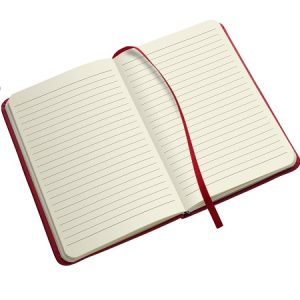 Agenda