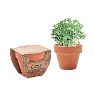 CRESS POT - Semințe creson în ghiveci de te