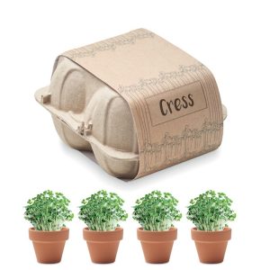 CRESS - Semințe in carton de ouă