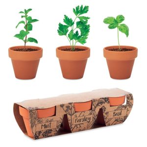 FLOWERPOT - Set vase teracotă - 3 ierburi