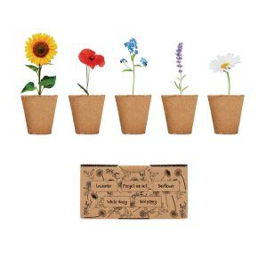 FLOWERS - Kit de creștere a florilor