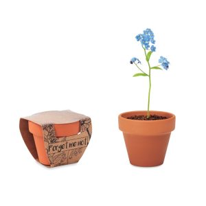 FORGET ME NOT - Vas teracota "nu ma uita"