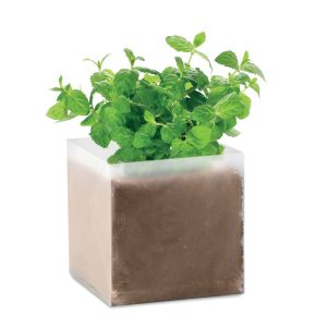 MINT - Compost cu semințe "MINT"