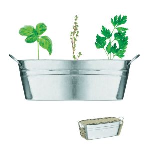 MIX SEEDS - Ghiveci din zinc cu semințe