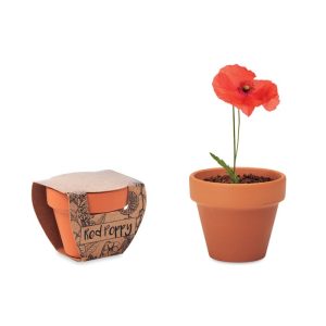 RED POPPY - Vas teracota "mac"