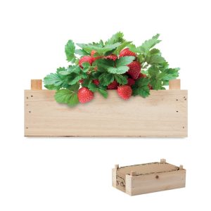 STRAWBERRY - Kit căpșuni în cutie de lemn