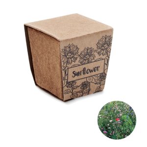 SUNFLOWER KIT - Kit pentru cultivarea florii-so