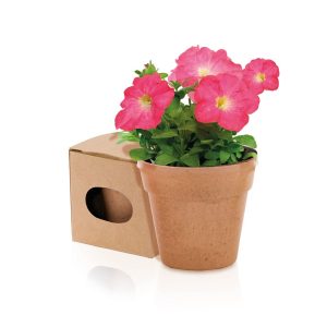 Advert - Ghiveci de flori