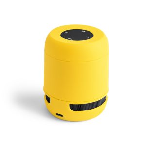 Braiss - Boxă