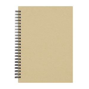 Celik - Notes de planificare lunară