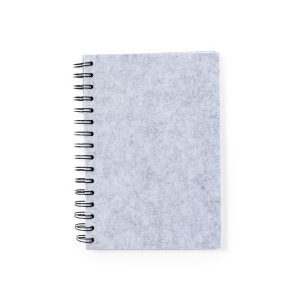 Fionap - Notebook/Notes