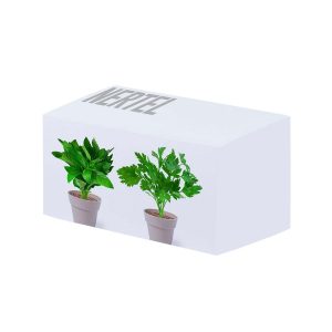 Nertel - Set de ghivece de flori