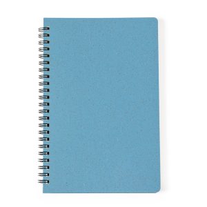 Roshan - Notes